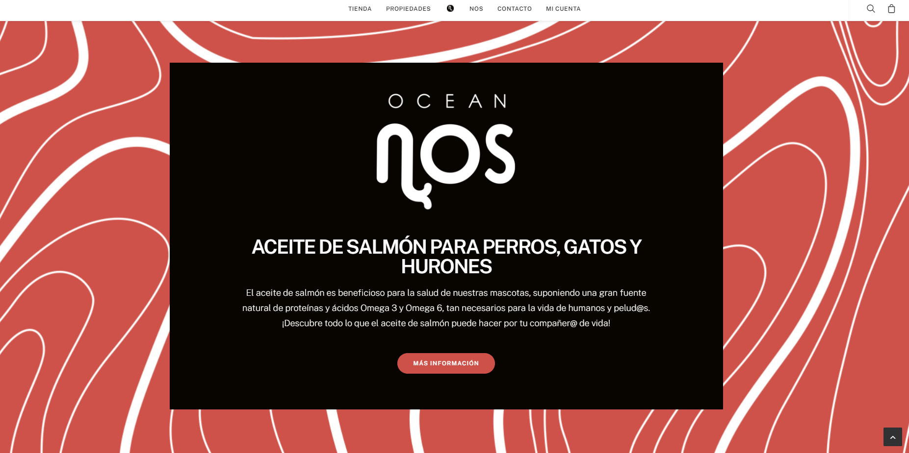 diseño web oceannos